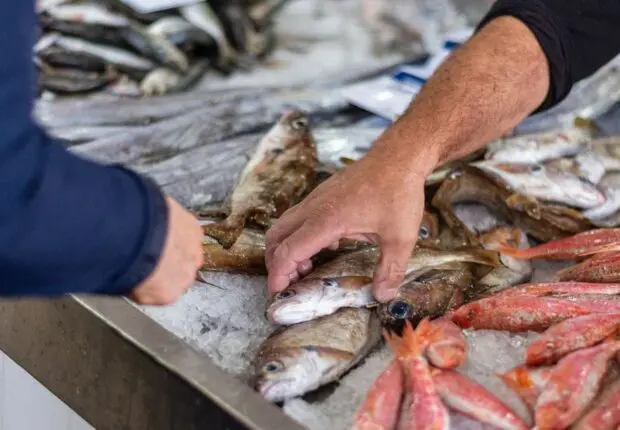 Du poisson pour tous : l’Algérie crée une société publique pour réorganiser le marché