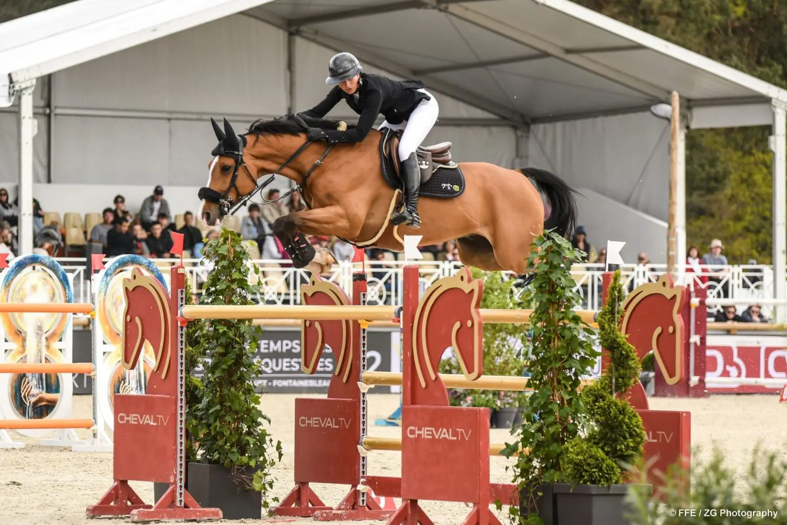 Des cavaliers algériens bloqués au Qatar faute d’autorisation ministérielle