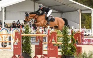 Des cavaliers algériens bloqués au Qatar faute d’autorisation ministérielle