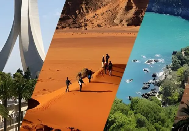 Algérie : l’État injecte 16 milliards de dinars pour dynamiser ce secteur