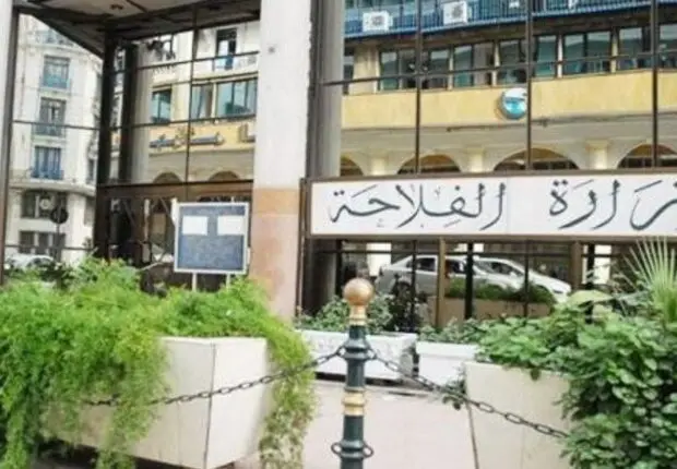 « Des prix encadrés » : Le ministère de l’Agriculture annonce de nouvelles mesures pour ces produits