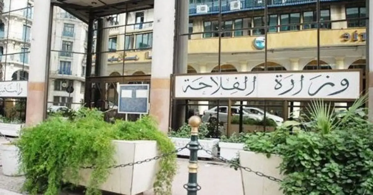 « Des prix encadrés » : Le ministère de l’Agriculture annonce de nouvelles mesures pour ces produits