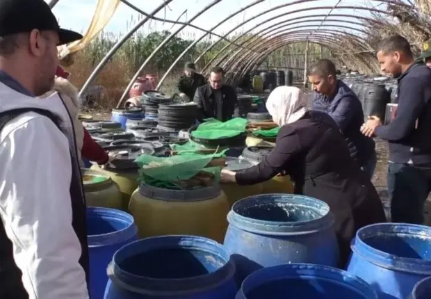 Les coupables s’apprêtaient à inonder le marché, la GN fait une découverte horrifiante dans une ferme