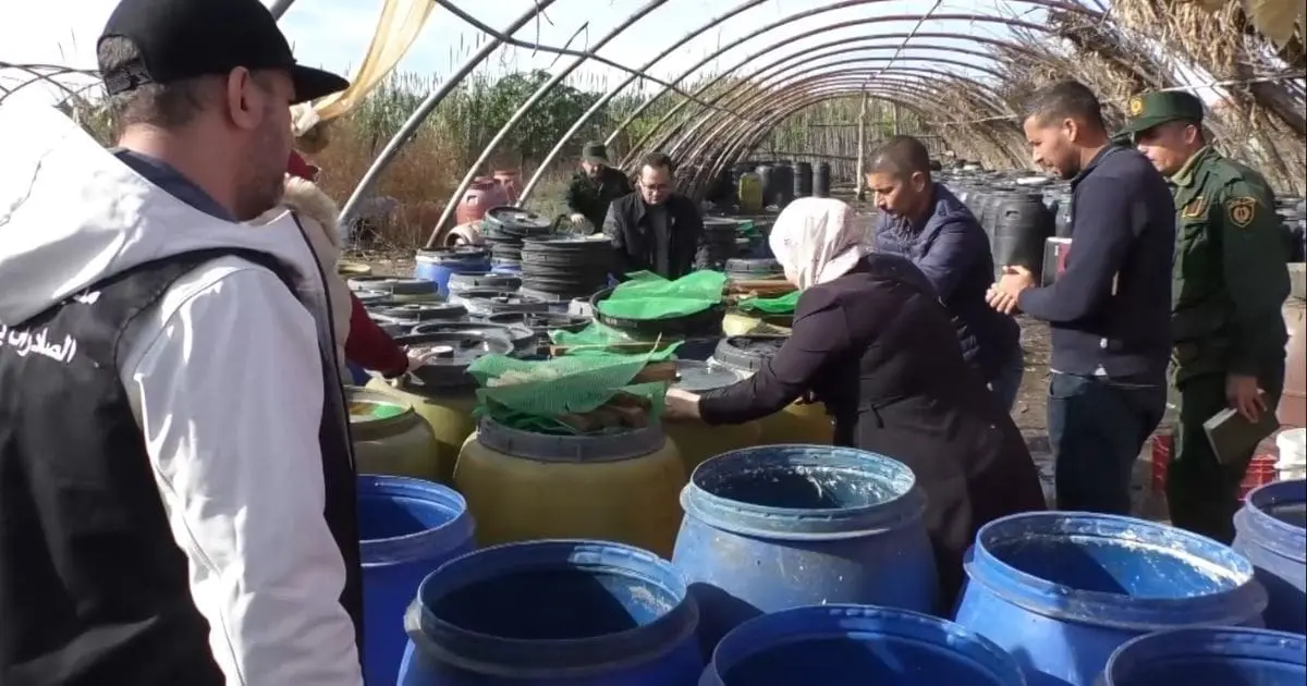 Les coupables s’apprêtaient à inonder le marché, la GN fait une découverte horrifiante dans une ferme