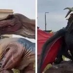 EXPO INÉDITE à Alger : les dinosaures envahissent le parc des Sablettes