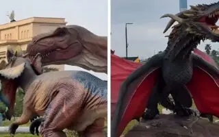 EXPO INÉDITE à Alger : les dinosaures envahissent le parc des Sablettes