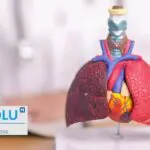 Tout savoir sur le mésothéliome : diagnostic, risques liés à l&rsquo;amiante et traitements