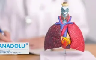 Tout savoir sur le mésothéliome : diagnostic, risques liés à l&rsquo;amiante et traitements