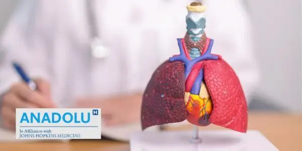 Tout savoir sur le mésothéliome : diagnostic, risques liés à l’amiante et traitements