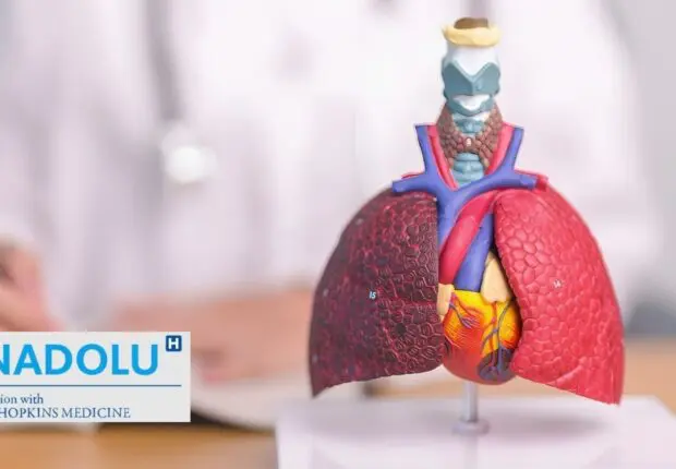 Tout savoir sur le mésothéliome : diagnostic, risques liés à l&rsquo;amiante et traitements