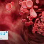 De l’hypovolémie au choc hypovolémique : repérer les signes d&rsquo;alerte et réagir vite