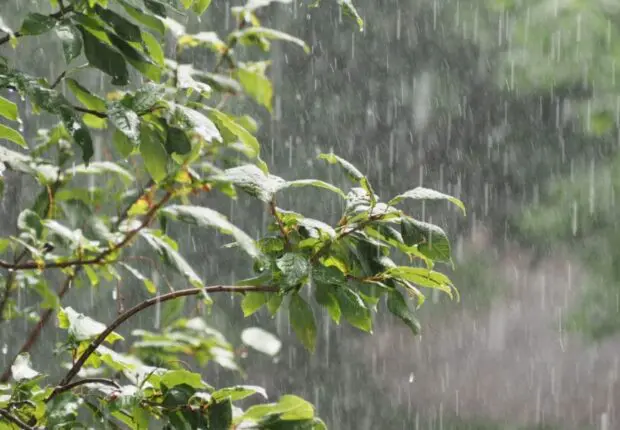 La météo en Algérie ce mardi 9 décembre : pluies et orages persistants dans ces wilayas !