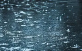 Week-end en Algérie : que prévoit la météo pour ce vendredi 12 décembre ?