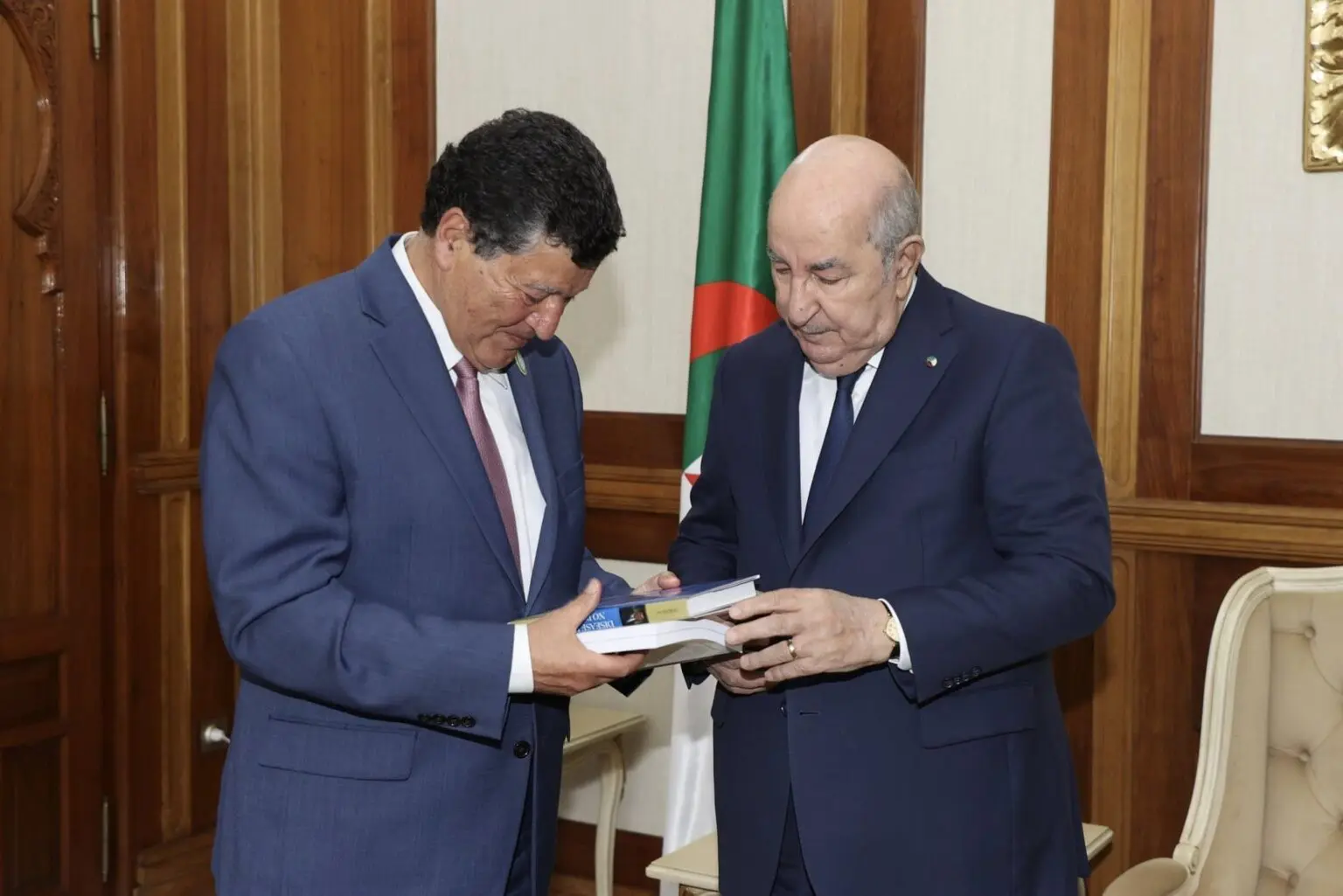 Révolution dans un secteur vital : le Pr algéro-américain Zerhouni présente un projet inédit à Tebboune