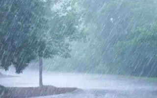 Vigilance « orange » en Algérie : fortes pluies et chutes de neige prévues dans plusieurs wilayas ce 17/12