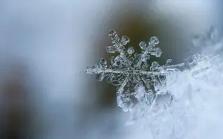 Vague de froid et chutes de neiges en Algérie : une météo hivernale attendue ce vendredi 26 décembre