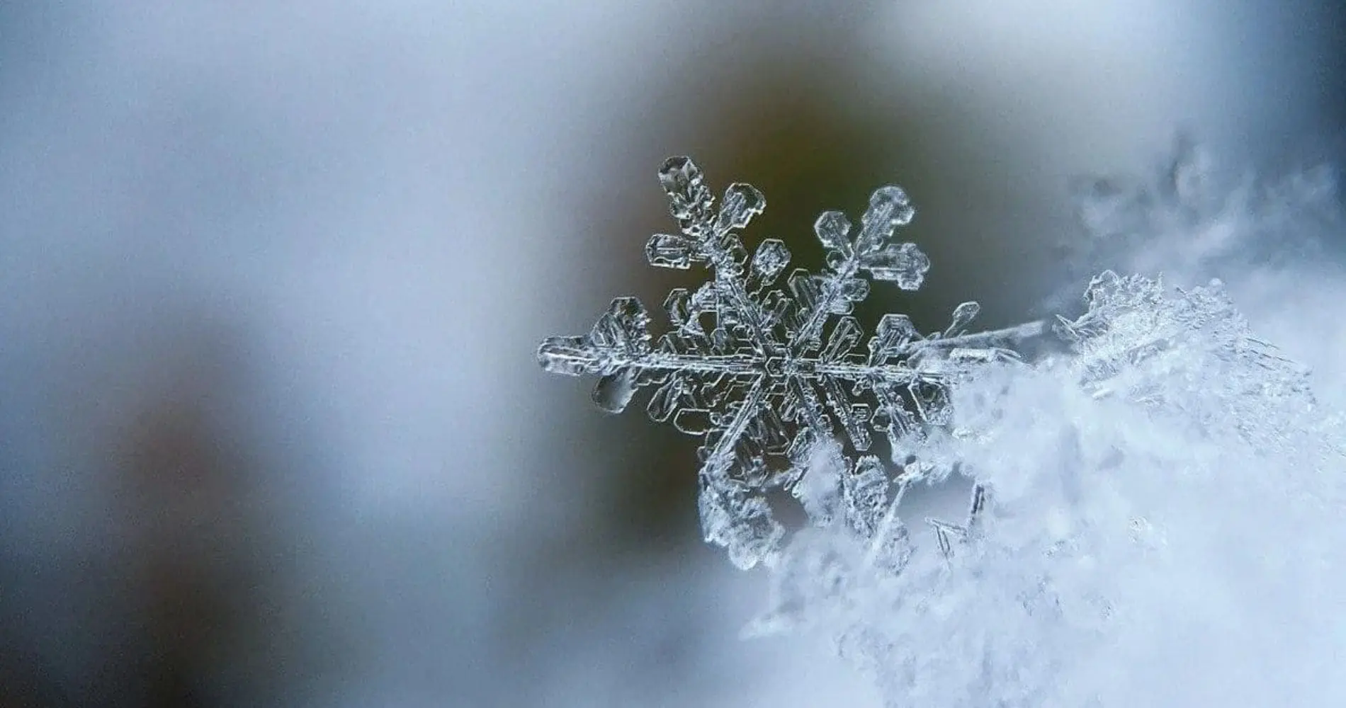 Vague de froid et chutes de neiges en Algérie : une météo hivernale attendue ce vendredi 26 décembre