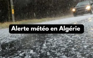 BMS en Algérie : fortes pluies annoncées dans plusieurs wilayas ce samedi 20 décembre 