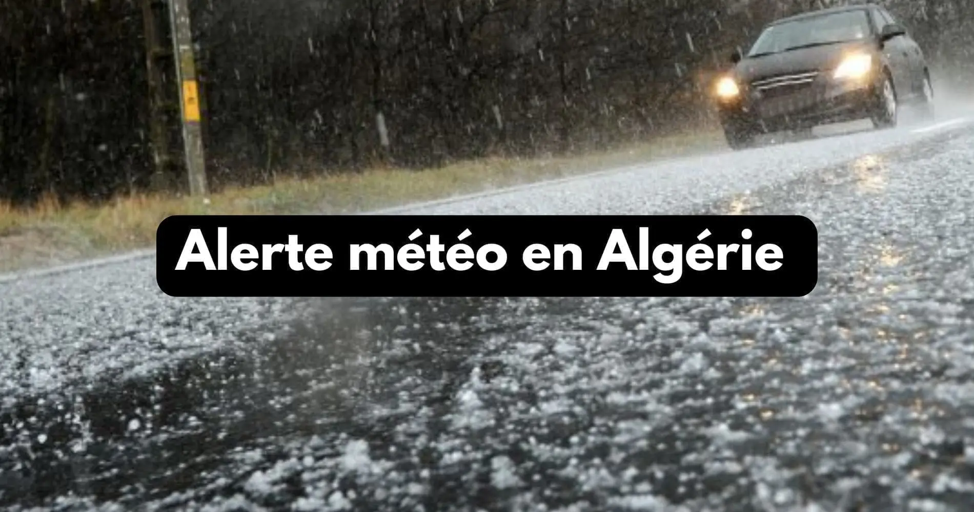 BMS en Algérie : fortes pluies annoncées dans plusieurs wilayas ce samedi 20 décembre