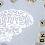 Classement du QI 2026 : quelle place pour l’Algérie sur la scène mondiale ?