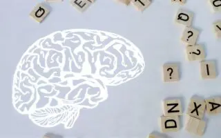 Classement du QI 2026 : quelle place pour l’Algérie sur la scène mondiale ?