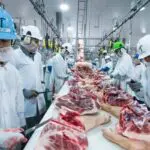 Agroalimentaire : l’Algérie met en place un nouveau pôle industriel dans cette wilaya