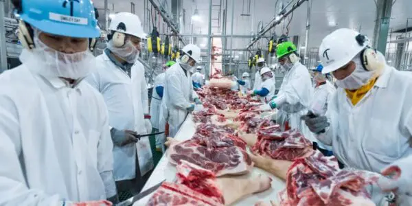 Agroalimentaire : l’Algérie met en place un nouveau pôle industriel dans cette wilaya