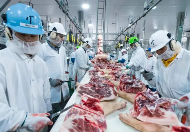 Agroalimentaire : l’Algérie met en place un nouveau pôle industriel dans cette wilaya