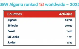 GEW : L’Algérie numéro 1 mondiale de l’entrepreneuriat en 2025
