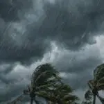 Vents à plus de 90 km/h et fortes pluies ce lundi 26 janvier : quelles wilayas sont en alerte météo ?