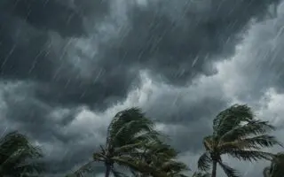 Vents à plus de 90 km/h et fortes pluies ce lundi 26 janvier : quelles wilayas sont en alerte météo ?