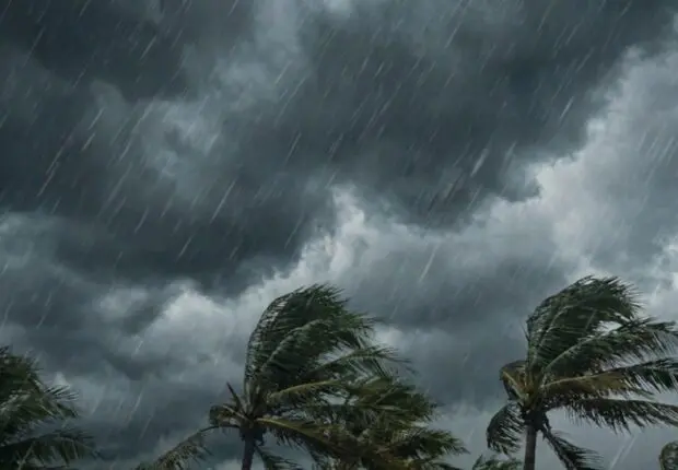 Vents à plus de 90 km/h et fortes pluies ce lundi 26 janvier : quelles wilayas sont en alerte météo ?