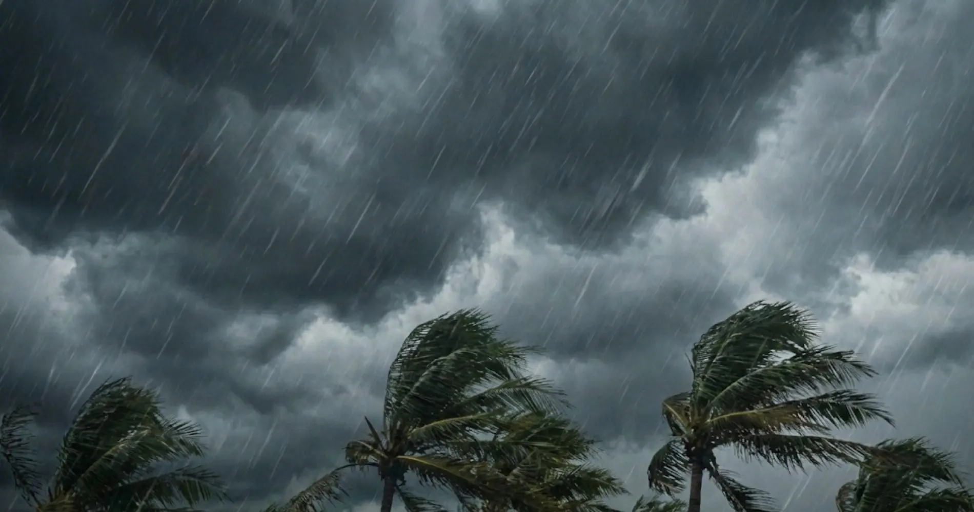 Vents à plus de 90 km/h et fortes pluies ce lundi 26 janvier : quelles wilayas sont en alerte météo ?