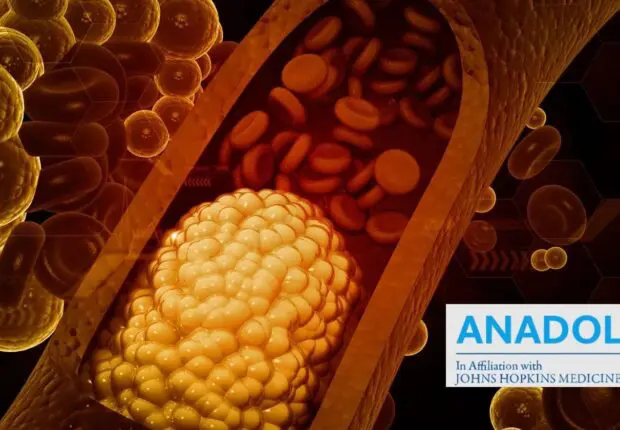 Vaincre le mauvais cholestérol : mode d’emploi pour nettoyer vos artères naturellement