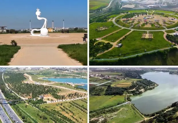 De décharge géante à espace verdoyant : le pari réussi d’Alger pour l’écoparc d’Oued Smar