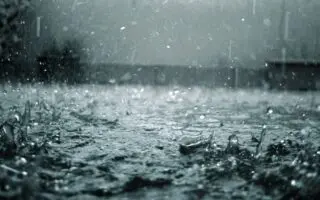 Pluies abondantes et chutes de neige en Algérie ce dimanche 18 janvier : voici les wilayas concernées