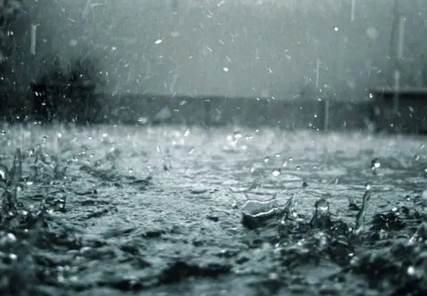 Pluies abondantes et chutes de neige en Algérie ce dimanche 18 janvier : voici les wilayas concernées