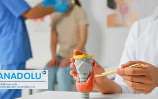 Fatigue inexpliquée, variations de poids : et si votre thyroïde appelait à l’aide ?