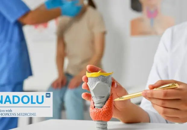 Fatigue inexpliquée, variations de poids : et si votre thyroïde appelait à l’aide ?