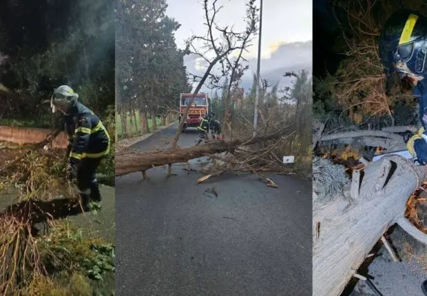 Intempéries en Algérie : des incidents matériels enregistrés dans plusieurs wilayas