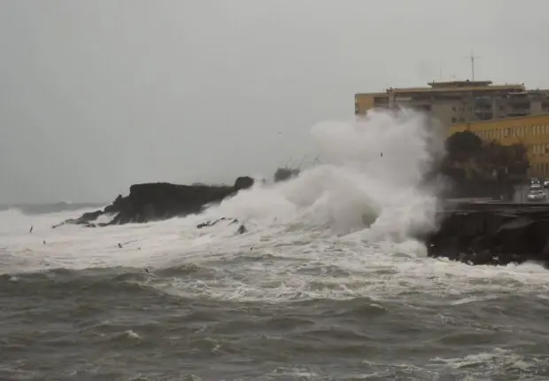 Rafales jusqu’à 120 km/h : la wilaya d&rsquo;Alger prend des mesures exceptionnelles