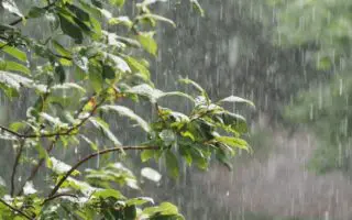 Week-end pluvieux en Algérie : fortes précipitations et retour du froid dans plusieurs wilayas ce 16/01