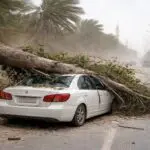 Alerte de rafales à 120 km/h maintenue en Algérie : quelles instructions pour les automobilistes ?