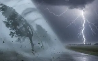 Pluies intenses et vents violents : quelles wilayas sont en vigilance météo « orange » ce 31 janvier ?