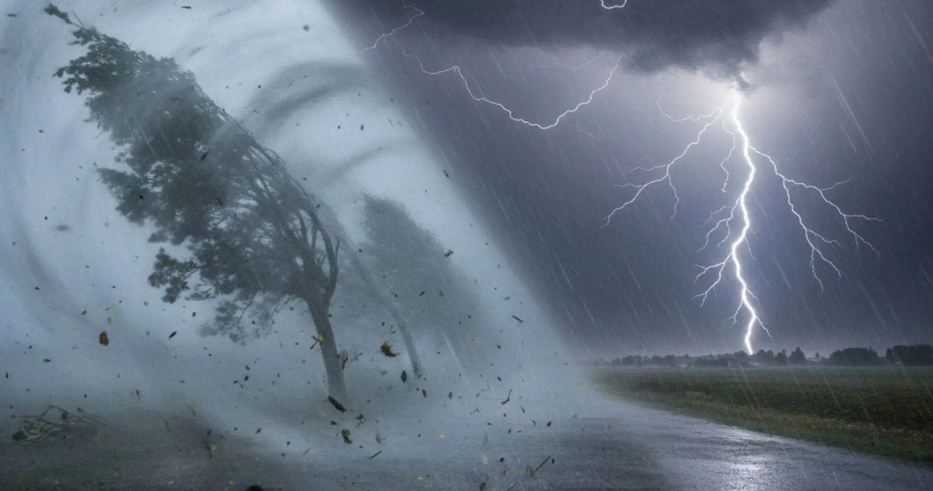 Pluies intenses et vents violents : quelles wilayas sont en vigilance météo « orange » ce 31 janvier ?