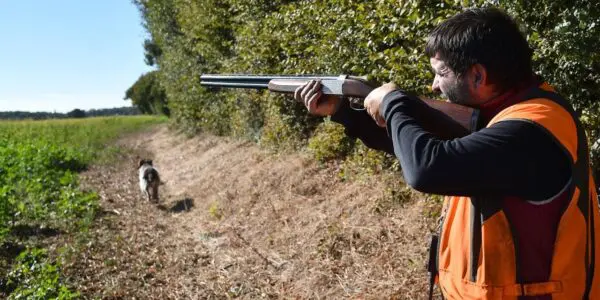 Interdiction de chasse en Algérie : le Premier ministre clarifie la situation