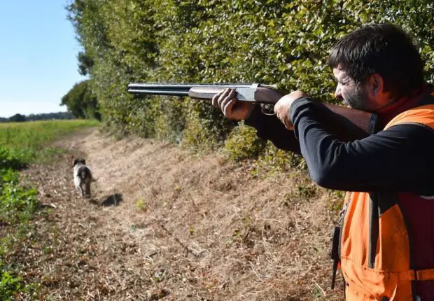 Interdiction de chasse en Algérie : le Premier ministre clarifie la situation