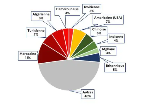 La délivrance des visas de long séjour par nationalité, selon les données du ministère de l'Intérieur en France.