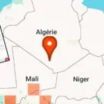 Découverte inédite au Sahara : Une nouvelle espèce officiellement répertoriée en Algérie