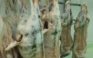 Viande locale ou importée ? Voici comment ne plus vous faire piéger chez le boucher